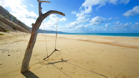 Rainbows And Beaches