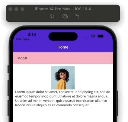 Image result for FAQ Expander UI