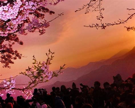 Taiwan Aims to Create Travel Bubbles within Asia Pacific