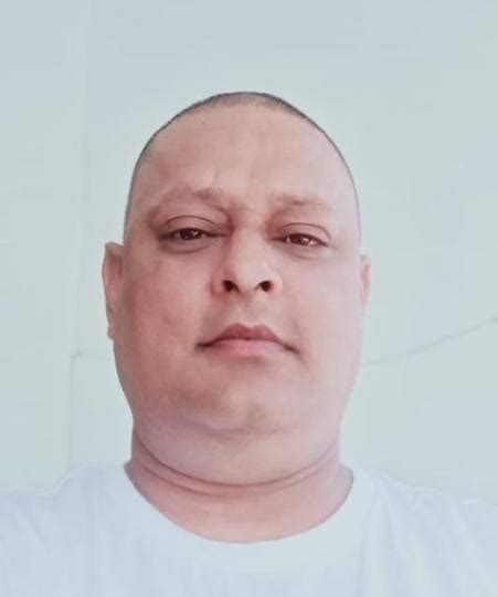 सड़कों पर पशुओं का आराम, हादसों का दिया जा रहा नाम - animal causes for ...