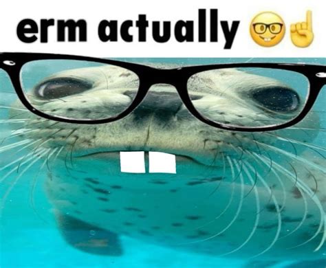 ERM ACTUALLY🤓👆 | Cute animals, Silly animals, Funny seals