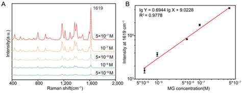 Fabricating a Three-Dimensional Surface-Enhanced Raman Scattering ...