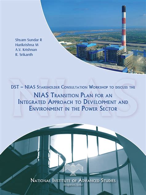 Executive Summary of the DST – NIAS Stakeholder Consultation workshop ...