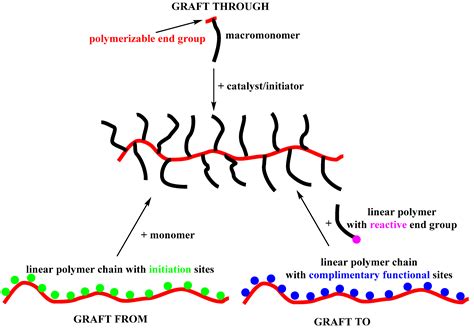 Grubbs’ and Schrock’s Catalysts, Ring Opening Metathesis Polymerization ...