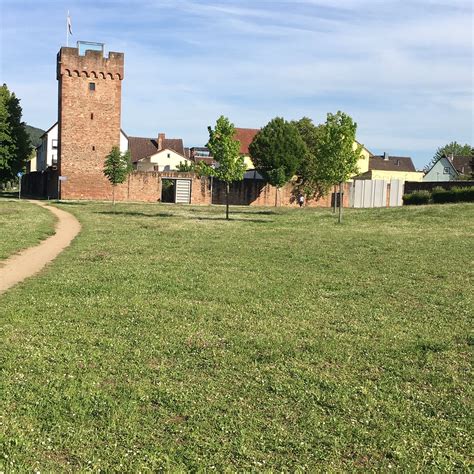 THE BEST Places to Visit in Worth am Main (2025)