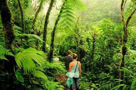 A Magical Vacation Through Monteverde's Mists - Costa Rica | Anywhere