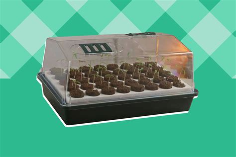Seedlings Seed Starting Kits