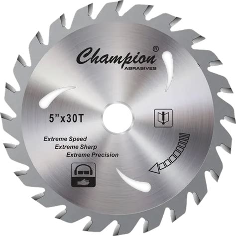 Champion Abrasives, Surat - OEM Manufacturer of NON WOVEN WHEEL and ...