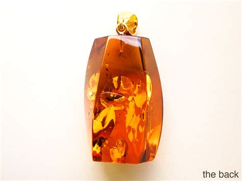 Amber Module Review 的图像结果