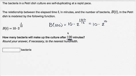Exponential Problems Examples 的图像结果