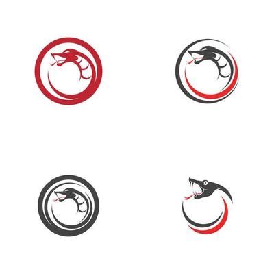 Image result for Python Snake Programming Logo