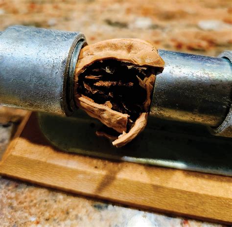 Nut On Broken Computer 的图像结果