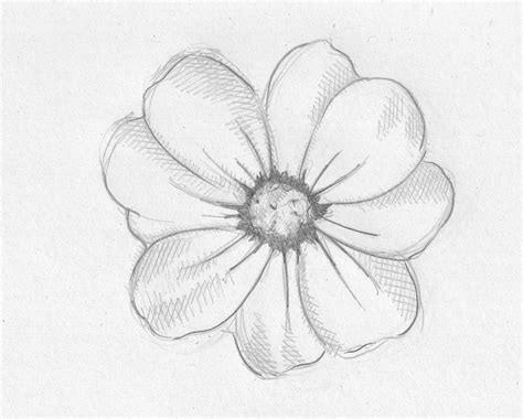Flowers Shading Drawing: A Beginner's Guide
