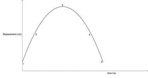 Image result for Vertical Projectile Graphs Physics Labeled