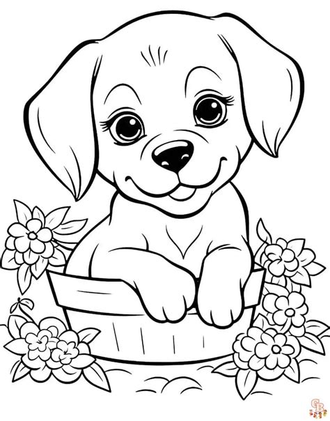 Image result for Computer Setting Image