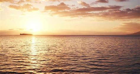 Flying 的图像结果