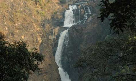 Jog falls, Sagara - Timings, entry fees, nearby places, things to go