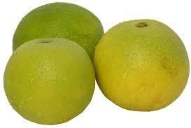 Fresh Fruits Manufacturer, Exporter & Supplier from Nagpur India