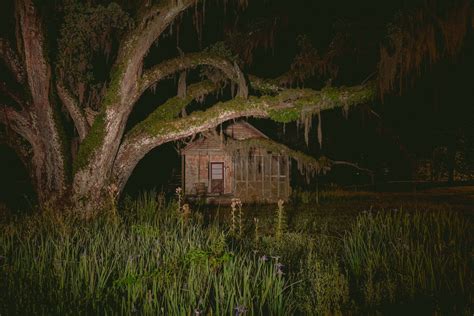 Pin by driedfish W on Background reference | Southern gothic, Southern ...