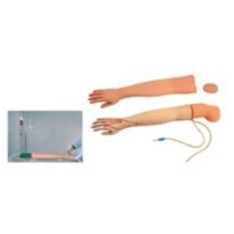 Image result for IV Training Arm Model