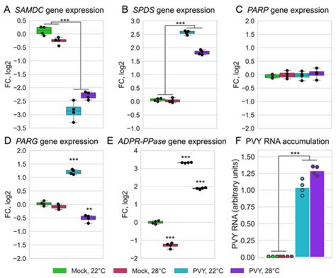 Transcriptomic Reprogramming, Alternative Splicing and RNA Methylation ...