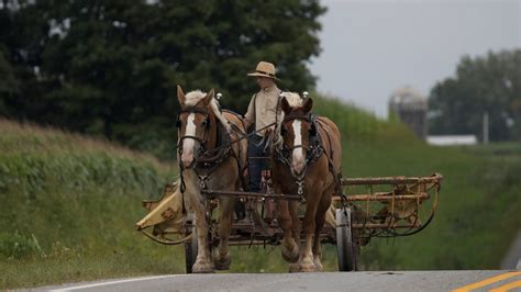 Amish and Mennonites differ in language, worship and education