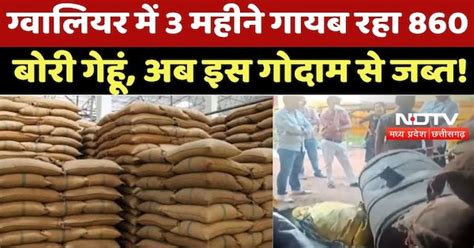 Ration Missing: Gwalior में 3 महीने गायब रहा 860 बाेरी गेहूं, अब इस ...