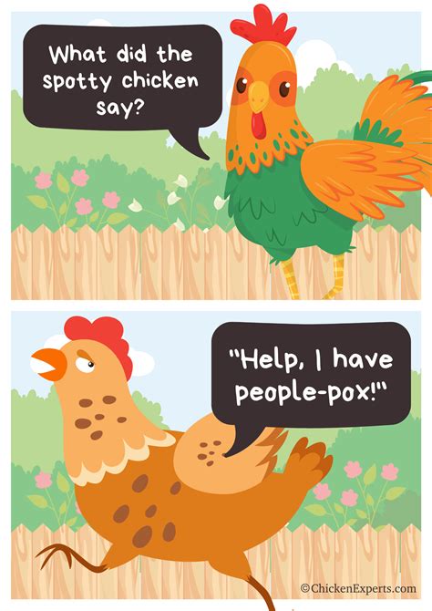 We have The Ultimate Chicken Joke List! No Yolk, You’ll Crack Up!😂 ...