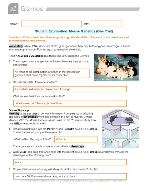 Image result for Mouse Genetics