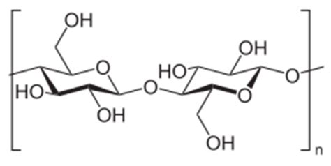 Hemp Fibre Properties and Processing Target Textile: A Review