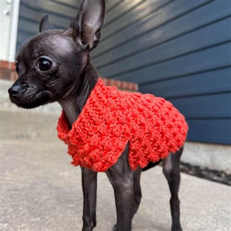 Buy Xxxs Dog Sweater Online In India - Etsy India