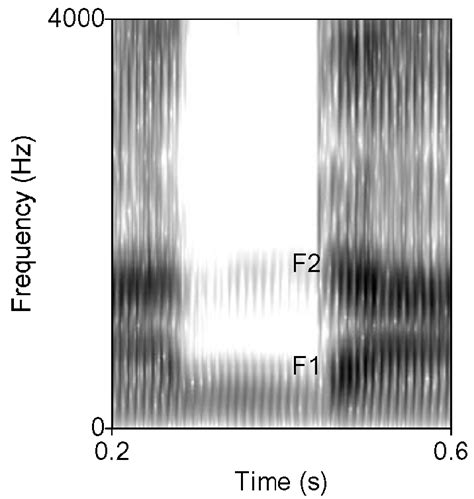Spectrogram Based Formant Extraction 的图像结果