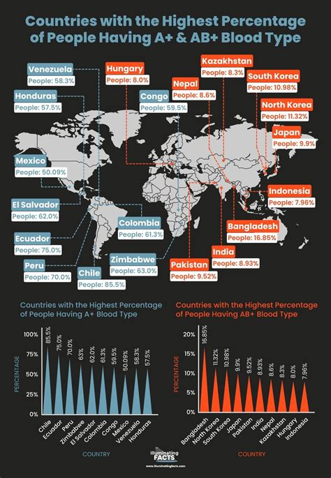 Ranked: Different Blood Types - Illuminating Facts