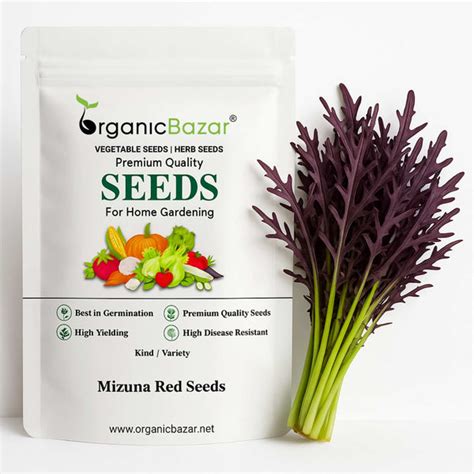 Buy Best Quality Mizuna Red Seeds Online - Organicbazar
