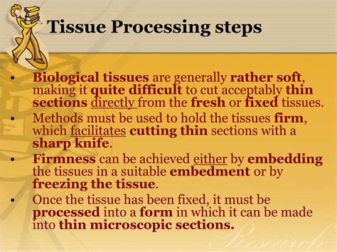 Tissue Processing 的图像结果