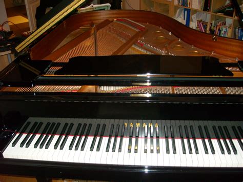 Tasteninstrumente, akustisch Kleinanzeigen