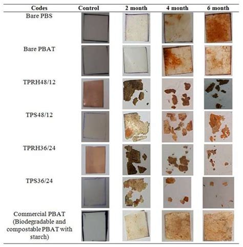 Characterization and Biodegradability of Rice Husk-Filled Polymer ...