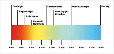 Image result for Daylight LED Spectrum