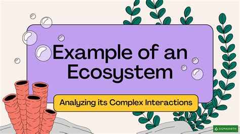 Ecosystem Example 的图像结果