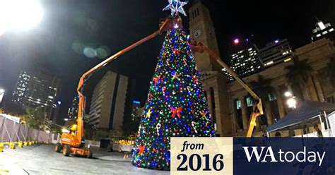 Christmas Tree Time-Lapse 的图像结果