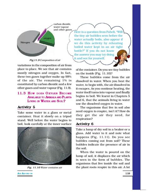 Class 6 Science Lesson 11 的图像结果