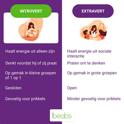 Image result for Introvert Extravert