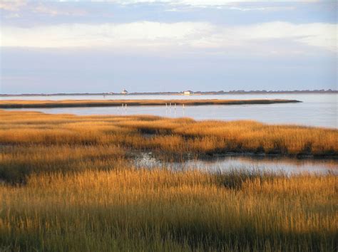Wetland - Freshwater, Biodiversity, Ecosystems | Britannica