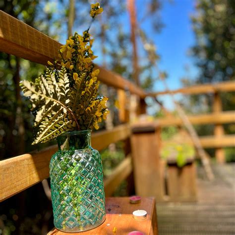 TUNGULÚ - HOTEL BOUTIQUE & CABAÑAS (Puerto Montt) - Campground Reviews ...