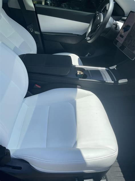 Tesla White vs. Black Interior: Make the Right Decision - EV Motors and Guide