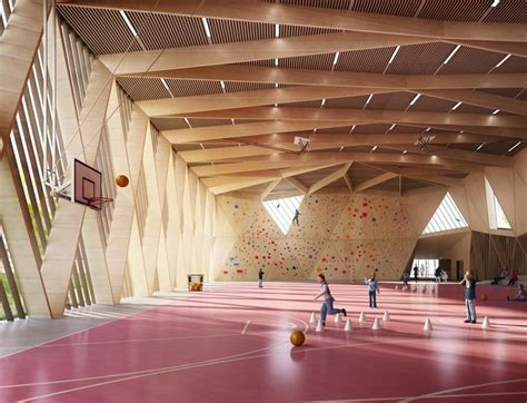 Gymnasium 的图像结果