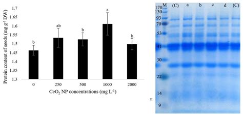 Foliar Application of CeO2 Nanoparticles Alters Generative Components ...