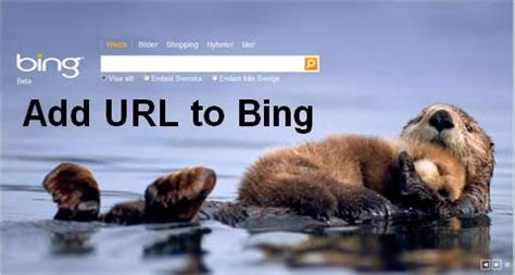 Image result for Add URL Bing