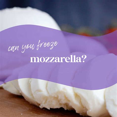 Can You Freeze Mozzarella Cheese? - Freezy Does It