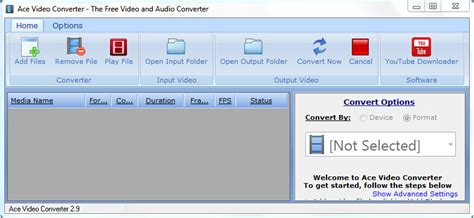 Convert Video Format Input Ace 的图像结果